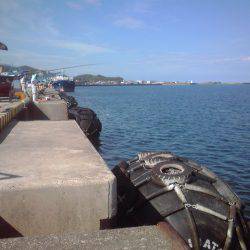 小サバ27匹、小アジ２２センチ